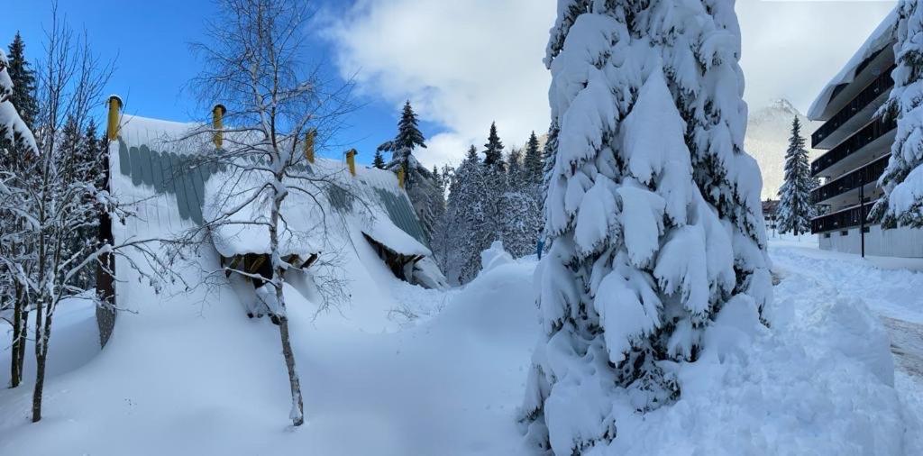 ~Chalet_Rifugio Tra I Boschi~ Sella Nevea Ngoại thất bức ảnh