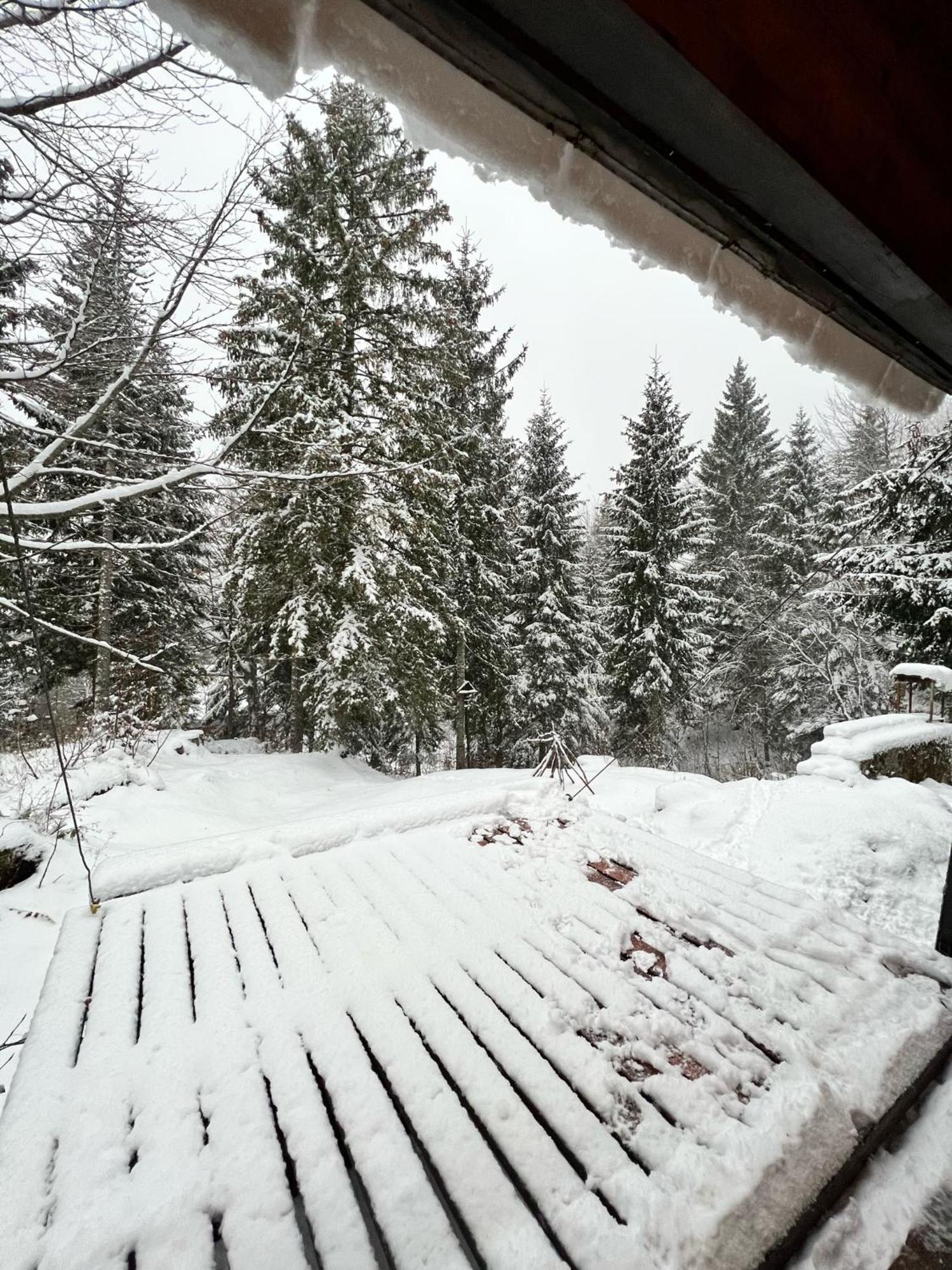 ~Chalet_Rifugio Tra I Boschi~ Sella Nevea Ngoại thất bức ảnh
